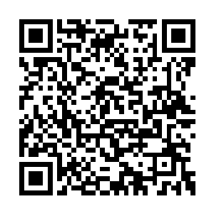 龙神大帝的人可以说是完全发了疯一样的再打啊二维码生成