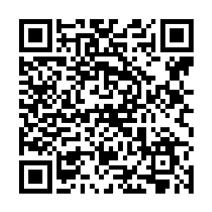 龙羽感觉自己有必要对这个班的学生有着更深入的了解二维码生成