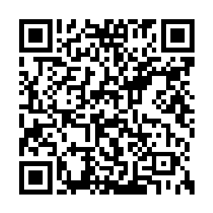 龙羽的身影随着冯海的身躯倒飞出去而闪晃急掠二维码生成