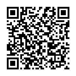 龙羽这才认真地看了郭承天在这张截图上附带着的说明二维码生成