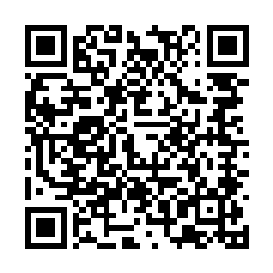 龙菲菲伸出修长白嫩的手指轻轻拢了拢耳畔的发丝二维码生成