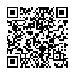 龙血与符箓对张潇晗而言那个重要那个次要一眼就能看出来二维码生成