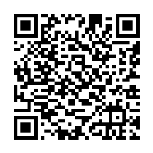 龙象法王整个人身上都荡漾起了一股不一般的气息了二维码生成