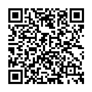 龙风瞬间感觉有一座大山重重的压迫在自己身上二维码生成