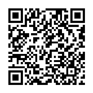 龙魂枪融合了紫极雷源神晶想要提升到创世神器也不是不可能的二维码生成