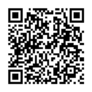 龙鸣手头有事走不开便想让手底下的年轻的猎手们跑一趟二维码生成