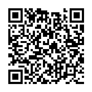 龙鸣见他俩依依不舍就招呼灰团子他回去给做食物二维码生成