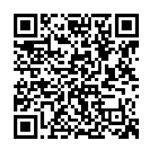 龙麒龙麟已经将这些冲昏了头脑的家伙解决掉了二维码生成