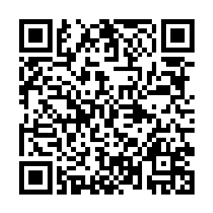 龚书全还有那些原本看不起龚家那位公子哥的股东们二维码生成