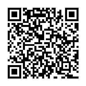 龚明和二十几个参加过小世界大比的修士从椅子上站起来二维码生成