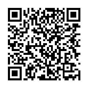 龚柏山转身把欧文斯的断臂和那颗手雷扔下了山崖二维码生成