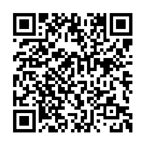 龟田比腾和龟田旦腾知道自己没权限进入实验室二维码生成