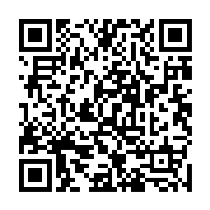 100个看上那对翅膀的客人能有一个可以佩戴就很不容易了二维码生成