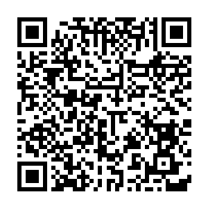 16支lspl队伍以及4支非联赛体系职业队伍参与到冠军争夺当中……二维码生成