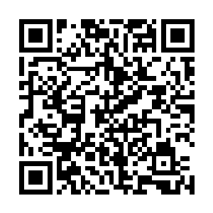 185股份赋予他的联合制片人权力选角事务的话语权是不同的二维码生成