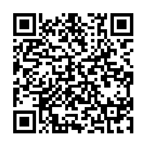 19号搭载着一名炼器大师和一名暗杀高手赶来增援二维码生成