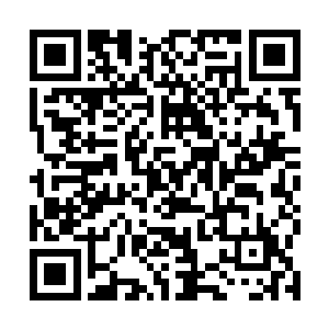 250机甲团的人愕然地看着那个熟悉的不能再熟悉的生物二维码生成