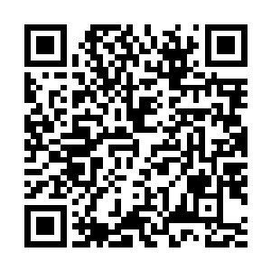 2o世纪最后一个级科学计划的倡导者达尔贝科看到pcR二维码生成