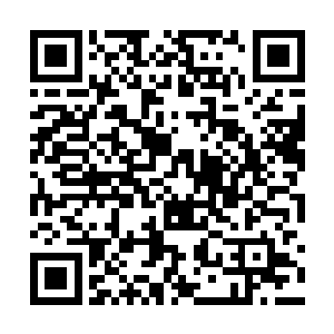 46个小时受到的委屈随着肚子的被填饱已经一扫而空了二维码生成