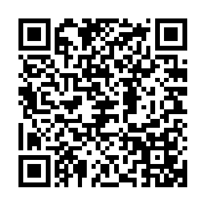 7升排量的超级跑车带着低沉的吼叫立刻就贴地飞行一般窜出去二维码生成