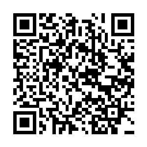 80年代的国内生物制品公司都是归属于肉联厂所属的二维码生成