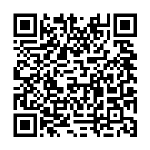 A级啊随便出来一个就虐只有八重真气的四大星将二维码生成