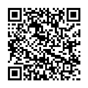 Abel就像在她身上安装了监视器一样准确地出现在她面前二维码生成