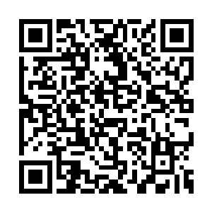 IAI忽然对钻石联盟最终裁决官约翰尼斯提起弹劾二维码生成