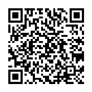 LC100这种纯粹的民用车辆就像是薄皮大馅儿的饺子二维码生成