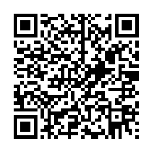 O2小队的成员进入了这个已经被废弃了一段时间的训练营二维码生成