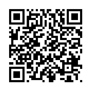 ace宋智孝和金钟国分别获得了两个高级信息袋二维码生成