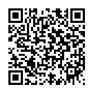 ic战队之所以会选这个几乎已经被淘汰了的英雄来打野二维码生成