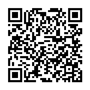 kda虚高但却没有什么实际作用的现象在比赛中屡见不鲜二维码生成