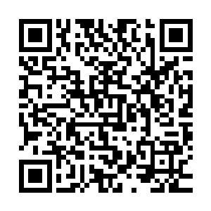 lcd招募了整整一个月也是连个影子都没有招募到一个满意的中单二维码生成