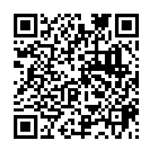 shanliangdemifeng大家也可以直接在微信的添加朋友里二维码生成