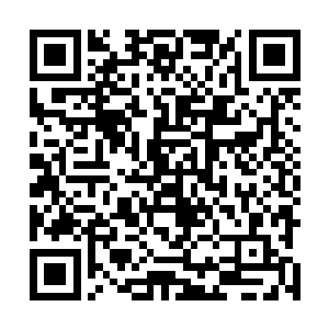 skt的三选和四选分别选了一个打野螳螂和一个辅助莫甘娜二维码生成