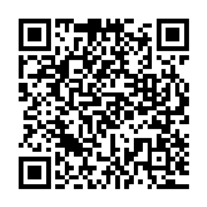 txt小说下载公子你有什么问题或者需求直接对小人说就可以了二维码生成