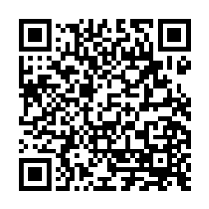 txt小说下载这些东西不仅可以当作谈资在同学们面前炫耀二维码生成