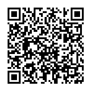 wacth海外研发机构以及梦幻海岛经纪公司员工上班的积极性从来都没有这样高二维码生成